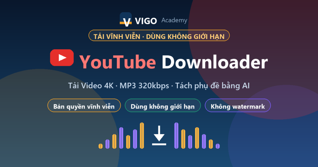 VIGO YouTube Downloader